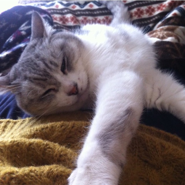 手伸ばしみーや